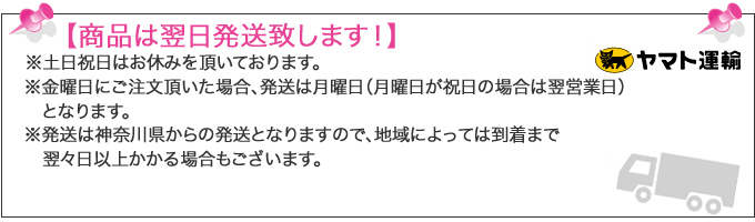 腰痛は手術しなくても改善します。1日3分ラクラク腰痛克服法