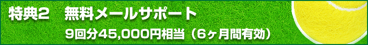 特典2 無料メールサポート 9回分45,000円相当(6ヶ月間有効)